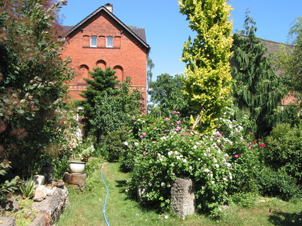 Gartenansicht (Foto: saxdorf.de)